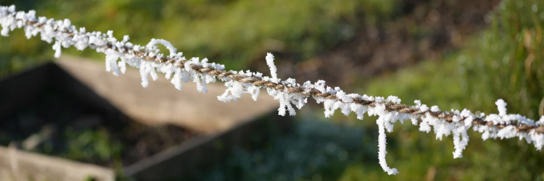 Gartenschnur